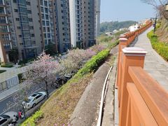 -小南山公园