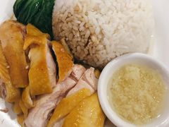 白切贵妃鸡-新发记港式茶餐厅(黄浦店)