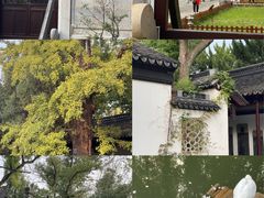 -苏州文庙(姑苏区)