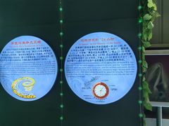 -诸城市恐龙博物馆