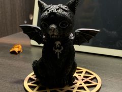 -雪灵魔法世界SHELLY’S TAROT(大良桂畔里店)