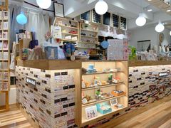-猫的天空之城概念书店(束河店)