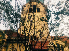 android_upload_pic-八大关景区