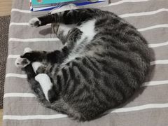 -巴奴毛肚火锅(安阳相州店)