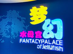 -青岛海底世界-水族馆