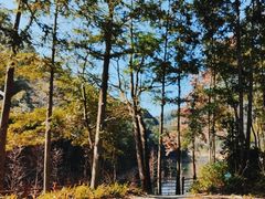 -广州市石门国家森林公园