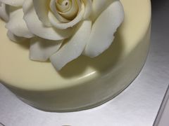 -BLACKSWAN黑天鹅(环球店)