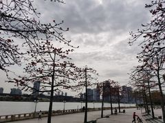 -海心沙亚运公园