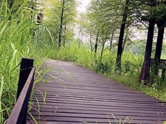 -梁鸿国家湿地公园