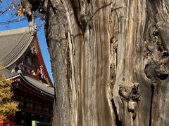 -浅草寺