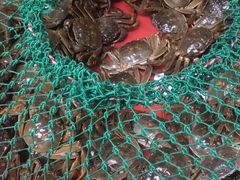 -青石桥市场北1-27号