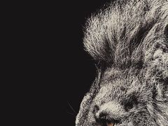 -闪电修企业手机电脑回收(西湖风景名胜区店)