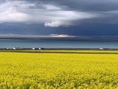-青海湖国家重点风景名胜区