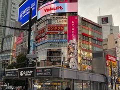 -涩谷全向十字路口