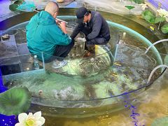 -火福·天湖阁大闸蟹博物馆主题餐厅(浅水湾店)