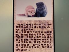 -猫咪博物馆(顶澳仔猫街店)