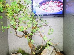 -老太原菜馆(万达店)