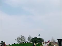 -空港花田景区