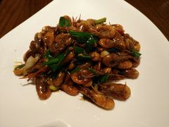 千岛湖野生河虾-曼香餐厅(千岛湖开元曼居酒店)
