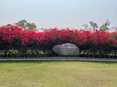 -中国科学院西双版纳热带植物园