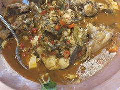 -洞庭家宴·头牌甲鱼(广渠门店)