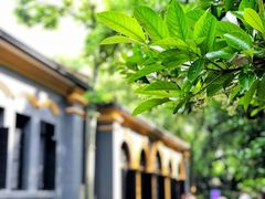 -湖南省立第一师范学校旧址