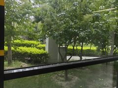 -首都医科大学附属北京天坛医院