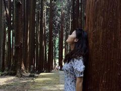 -武陵山森林公园