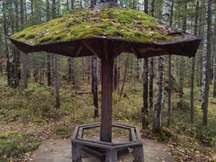 -峡谷浮石林景区