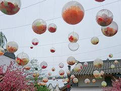 -白鹿原樱桃园