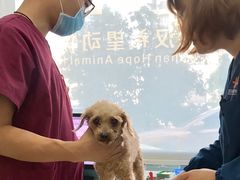 -希望动物医院(汉阳院)