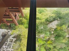 -少华山国家森林公园