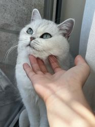 -兮奈ネイル美甲美睫·皮肤管理