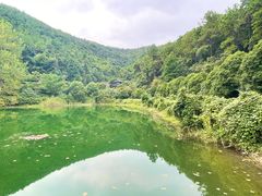 -九龙潭景区
