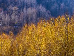 -玉渡山自然风景区