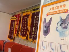 -瑞派福兴宠物医院犬猫全科·骨科·中西医结合(河东店)