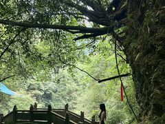 -青城山