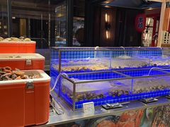 -松咖啡自助餐厅·松北香格里拉