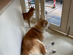 -餐酒吧Com-ing Bar(上海路店)