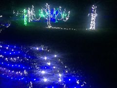 -洛阳郁金香牡丹园