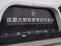 景点-成都大熊猫繁育研究基地