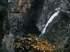 -磐安舞龙峡景区