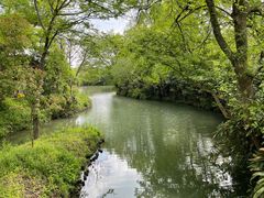 -西溪国家湿地公园