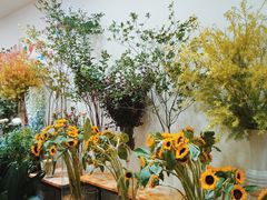 -双季花艺园艺市场(浦东店)