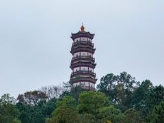 -分塔山省级森林公园