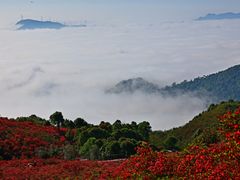 -瑞安圣井山景区