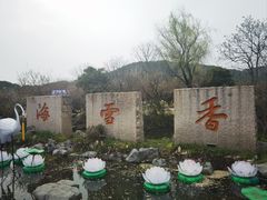 -香雪海