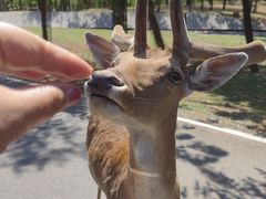-秦皇岛野生动物园