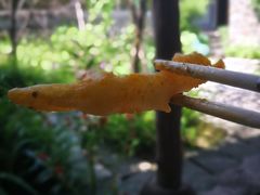 -驿舍·民國老营房院子私房菜(科学会堂店)