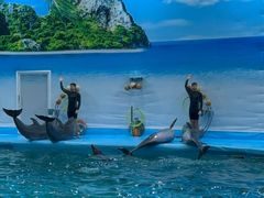 -尼莫海豚馆